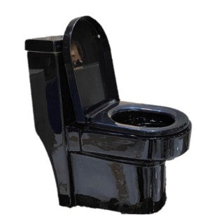 WC ECOLOGICO SONAHT BLACK DESCARGA 2