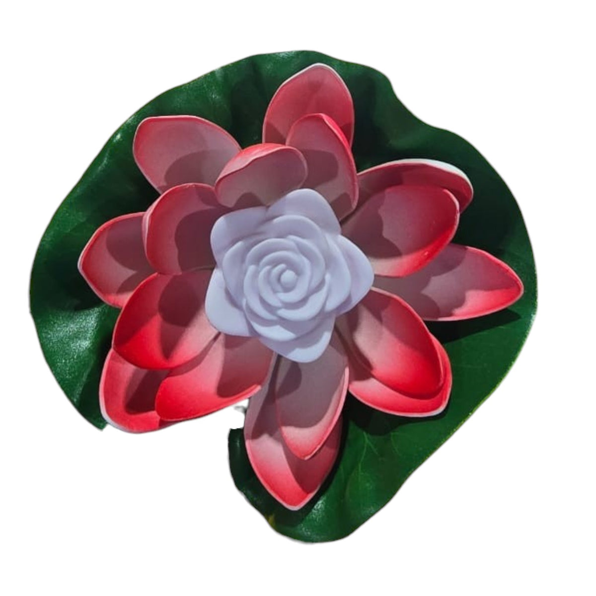FLORES DE LOTO